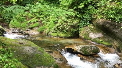 降りた沢での最初のポイント