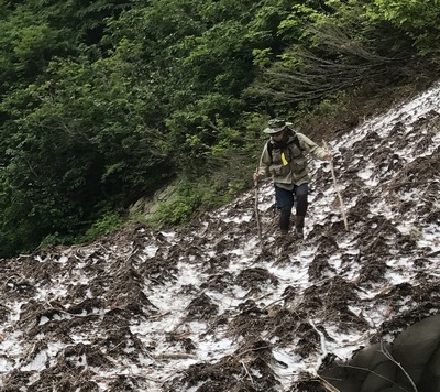 残雪の斜面を用心して渡る