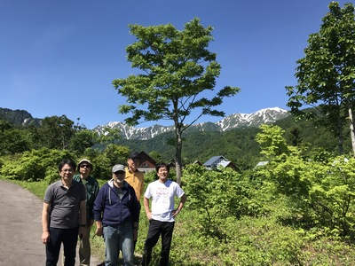 木立をバックに