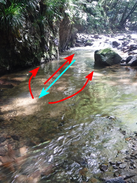 見切った魚がどこへ戻ったかを、しっかり観察しておく