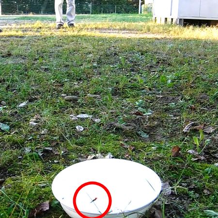 テーパーラインの試し振り